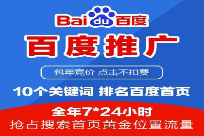 谷歌竞价广告与SEO结合的营销案例解析